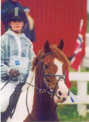 Camilla Viken