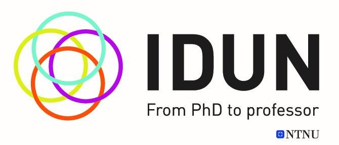 IDUN - from PhD to professor logo