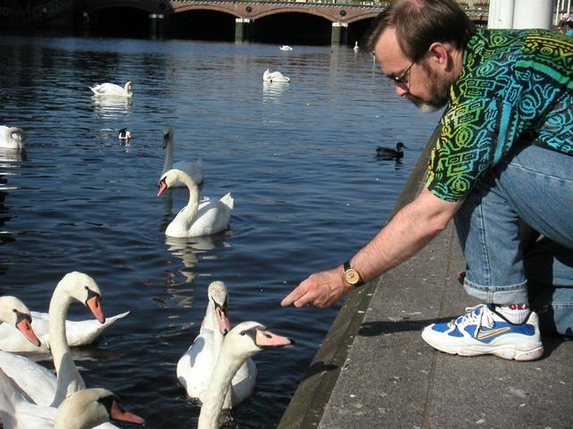 Hamburg_Birds6.jpg