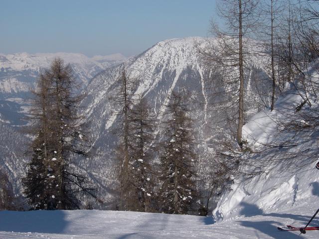 Natur.jpg