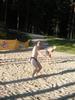 Rune beachvolley3