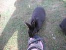 Bunny and foot