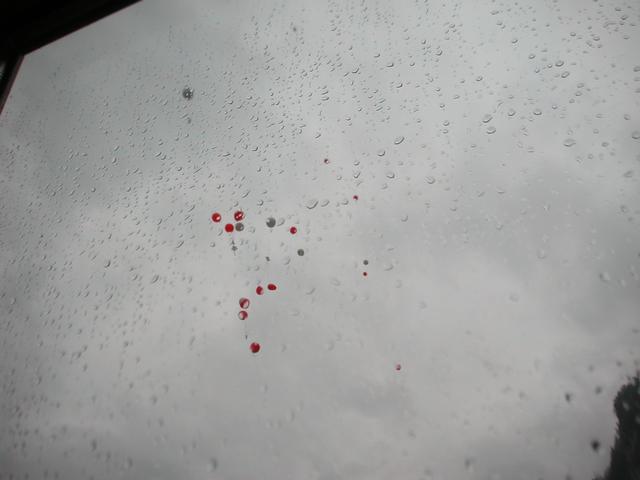 99_Luftballons_im_Regen.jpg