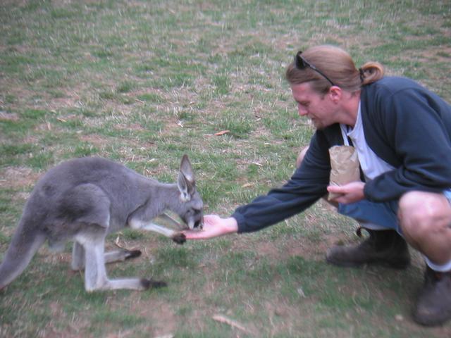 Kangaroo_and_James.jpg