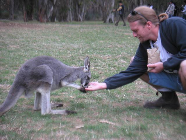 Kangaroo_and_James2.jpg