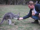 Kangaroo and James2