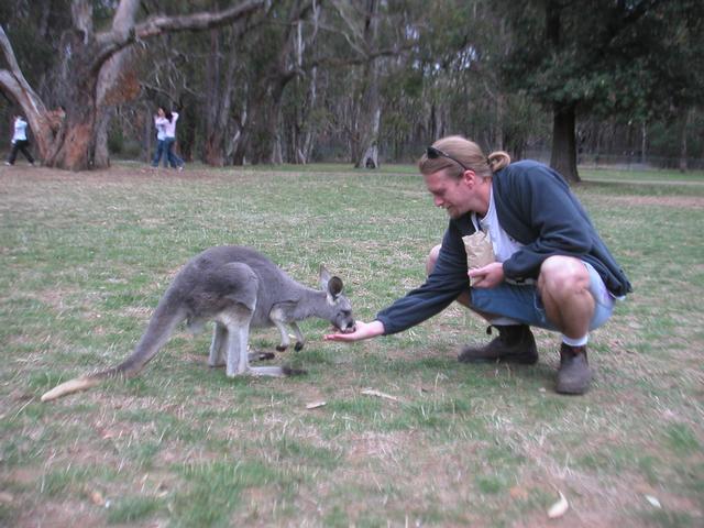 Kangaroo_and_James3.jpg