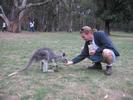 Kangaroo and James3