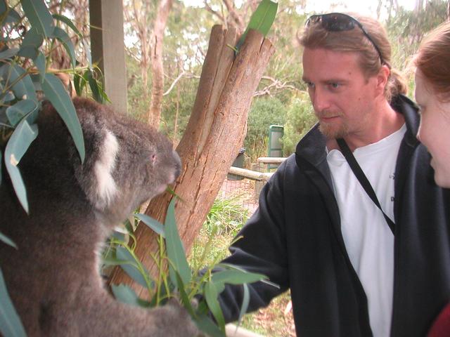 Koala_James_and_Siri.jpg