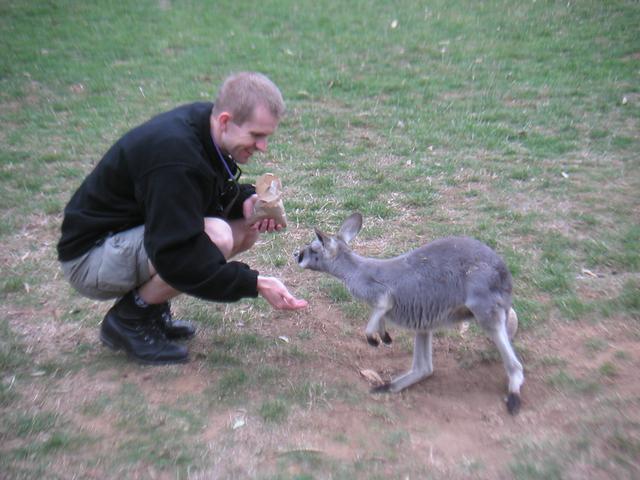 Rune_and_Kangaroo2.jpg