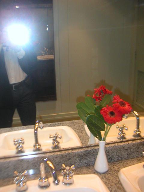 BathroomFlowers.jpg