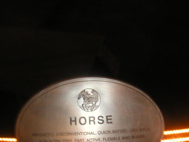 Horse1978.jpg