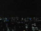 Tokyo Night2