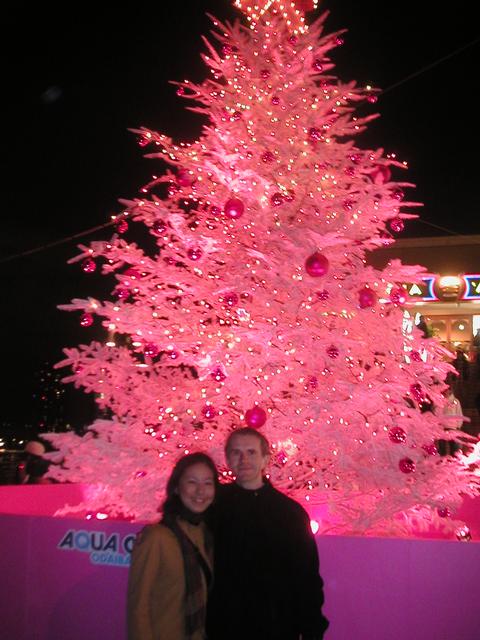 Naho_and_Rune_pink_ChristmasTree.jpg