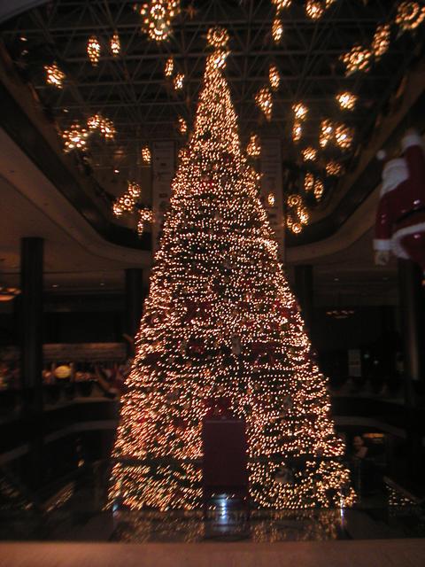 Hilton_Christmas_Tree.jpg