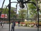 Roppongi hills Spider