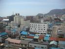 Hakodate view2