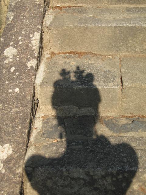 Agnieszka_Deer_Shadow.jpg