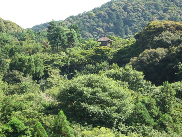 Kyoto22.jpg