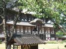 Temple and trees