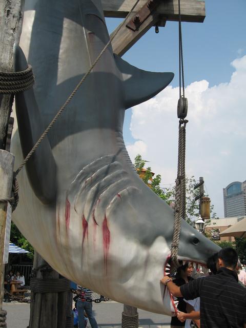 Shark.jpg