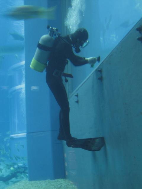 Diver_Window_cleaning.jpg