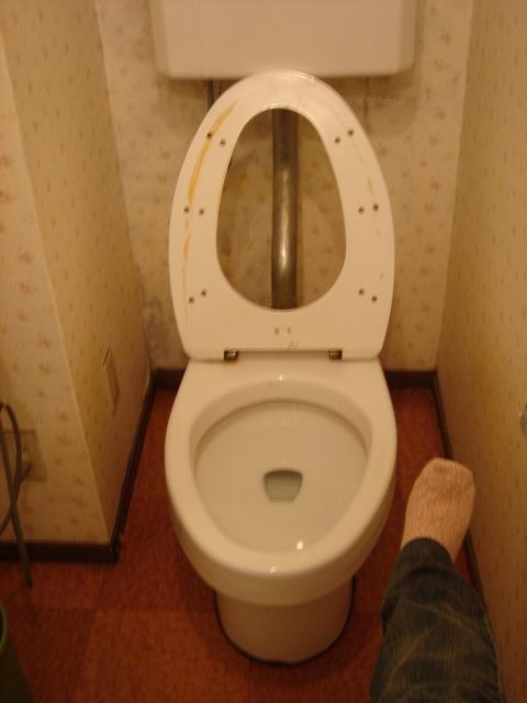 Sumo_Size_Toilet.jpg