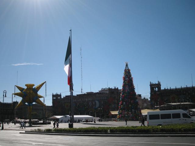 Pinata_Flag_and_Tree.jpg