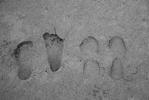 Footprints