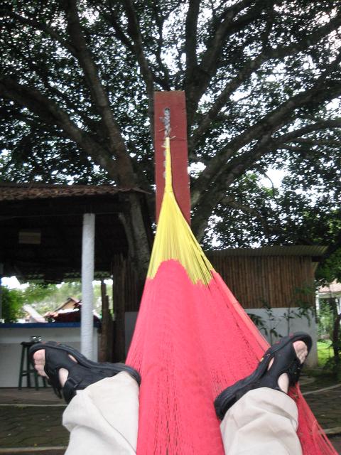 Hammock.jpg