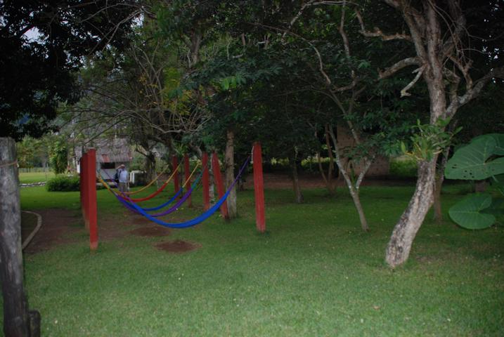 Hammock2.jpg