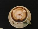 Nice Coffee Bear