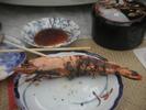 King Prawn2