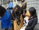 Sachiko med hester