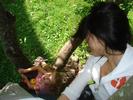 2007/ 08Aug/ 07PlayingAndSchool/ Eirin og Sachiko i treet