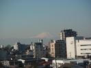 Mount Fuji