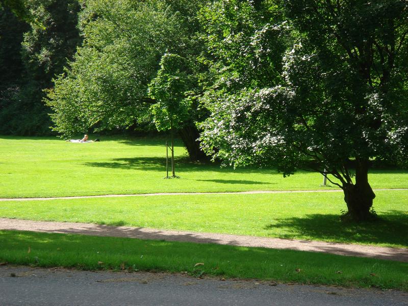 Park4.jpg