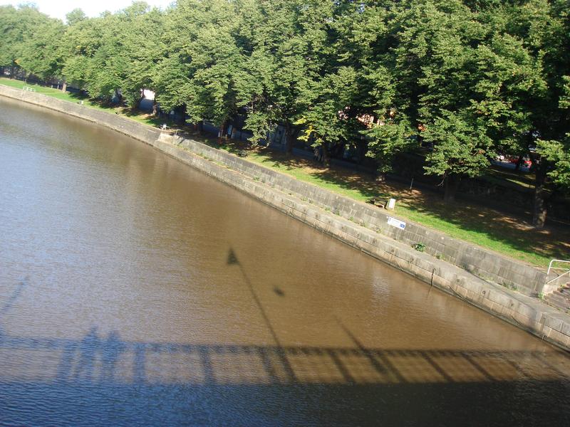 River_shadows_and_trees.jpg