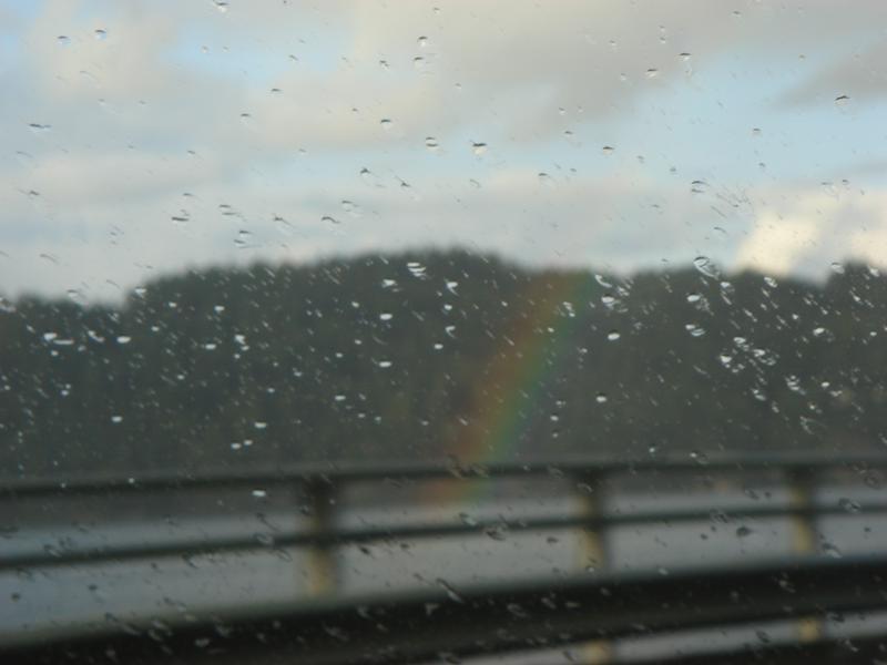 Rainbow10.jpg