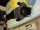 Sachiko tired2