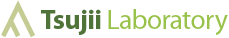 Tsujii Laboratory